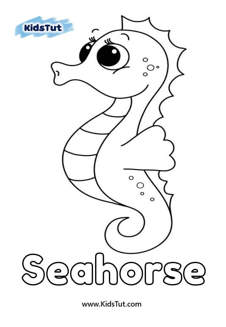 Sea horse - Sea animals coloring pages for kids
