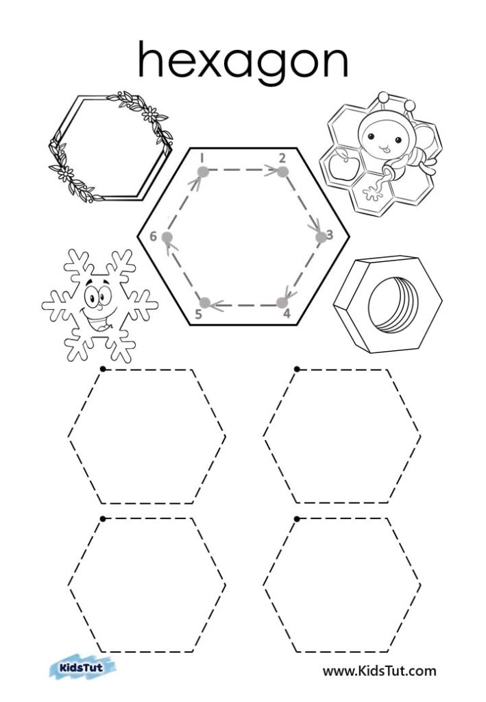 Basic Shapes Worksheet Book