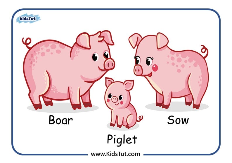 Farm Animal Family Cards for Kids!