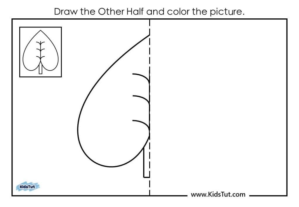 Symmetry drawing worksheets