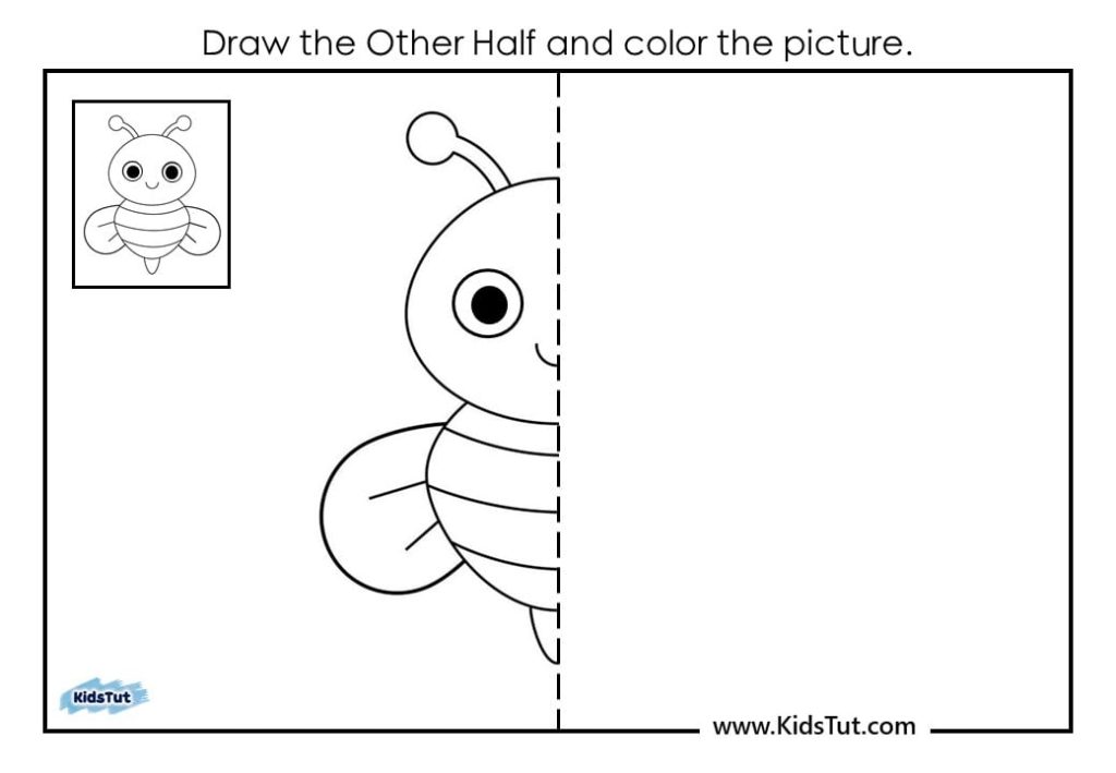 Symmetry drawing worksheets