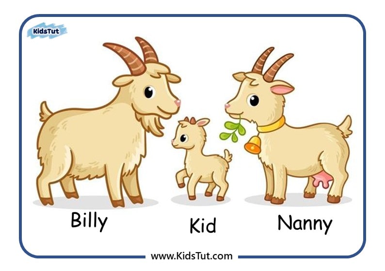 Farm Animal Family Cards for Kids!