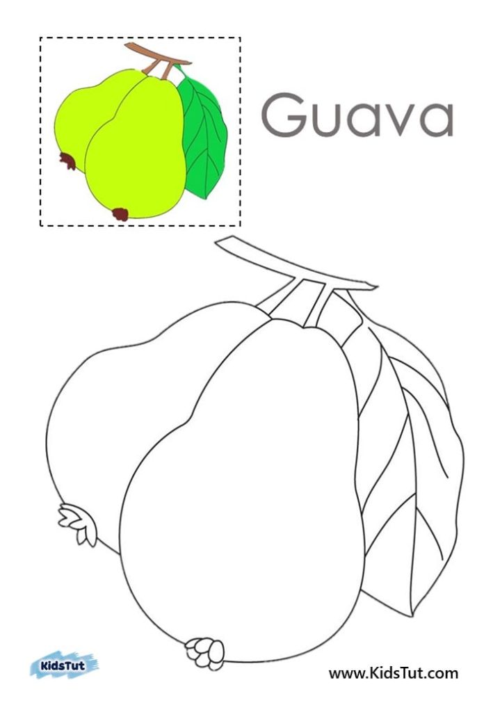 Fruit Coloring Pages For Kids