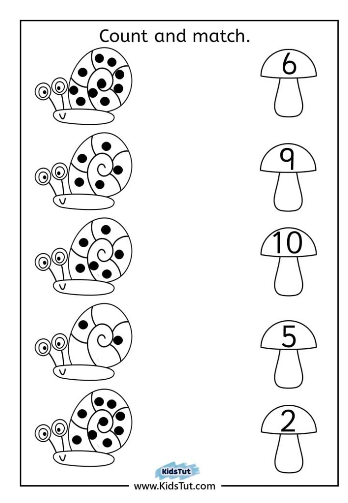 Count and Match Worksheets