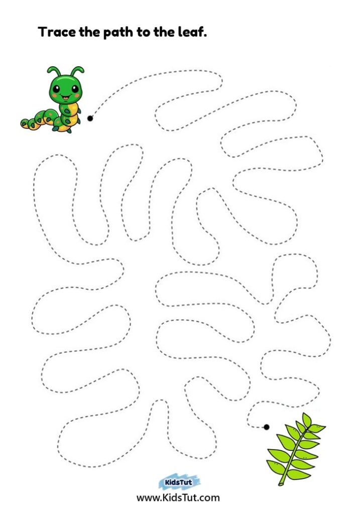 Trace the Path: Tracing Worksheets for Kids