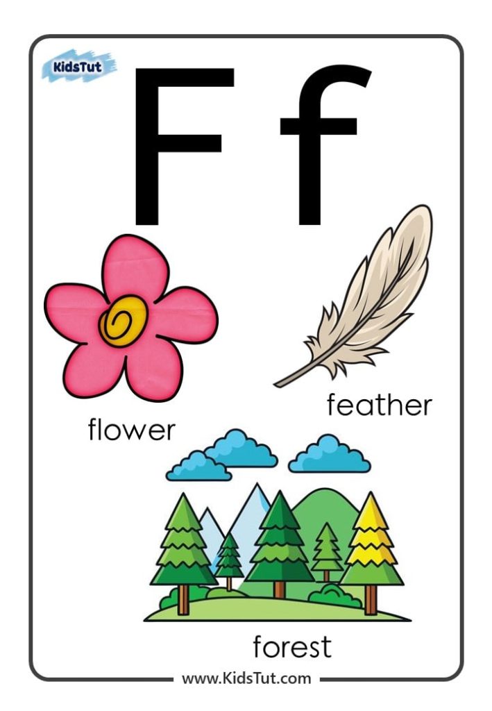 ‘F’ Words with Simple Examples for Kids