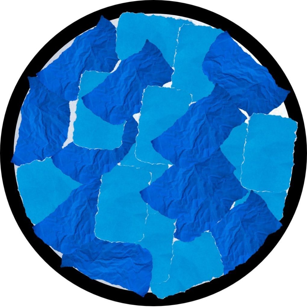 Shark Crafts for Kids: Easy and Fun Window Art